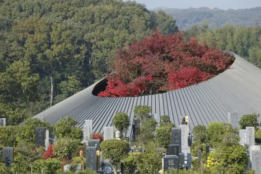 Pregare la foresta: il cimitero di Hiroshi Nakamura a Sayama