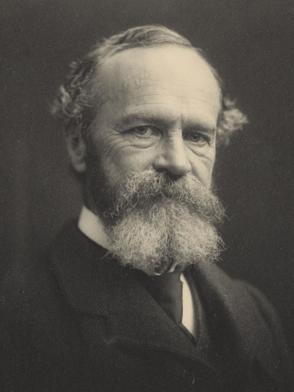 Ritratto fotografico del filosofo William James, 1903