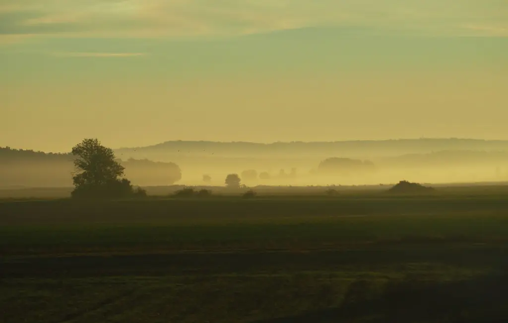Pianura veneta nella nebbia