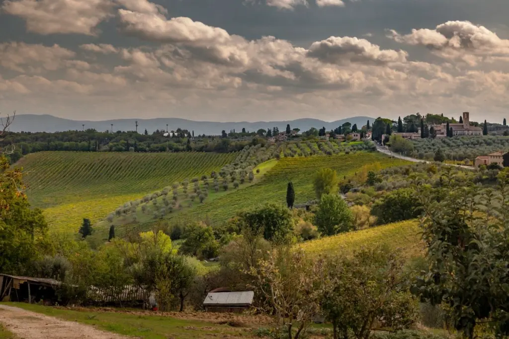 Colline coltivate a vigneto e uliveto in Italia, con borgo sullo sfondo